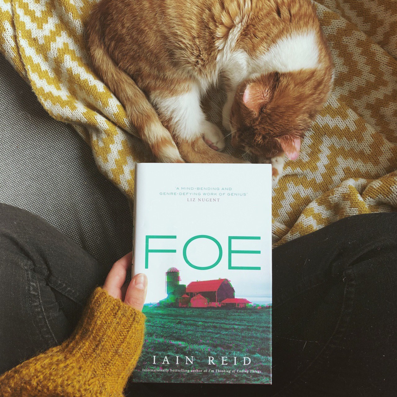 photo_2019-11-17 22.12.00